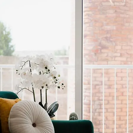 Apartment Chimney Luxury House With Ac *